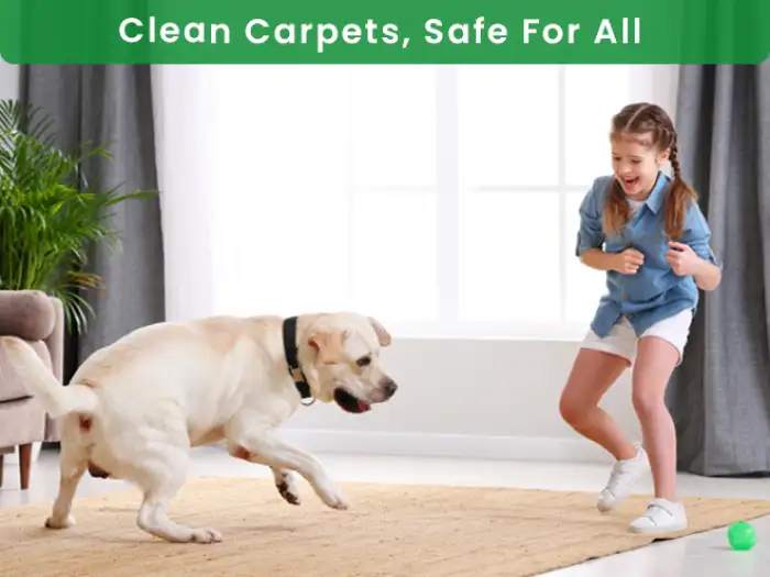 Same day rug cleaning South Richmond Hill NY showing pickup and delivery service for delicate rugs