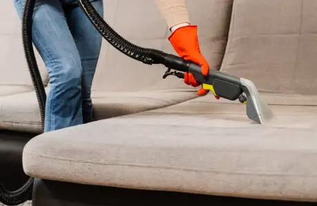 Professional upholstery cleaning North Valley Stream NY showing sofa and furniture cleaning process