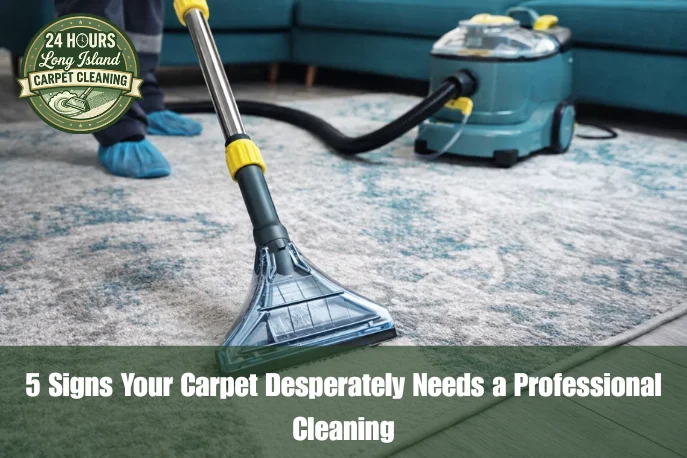 5 Signs Your Carpet Desperately Needs a Professional Cleaning