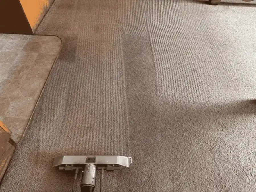 Carpet cleaning wand leaving clean stripes on a beige carpet during hot water extraction